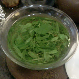 Thanh Sơn Lục Thủy
